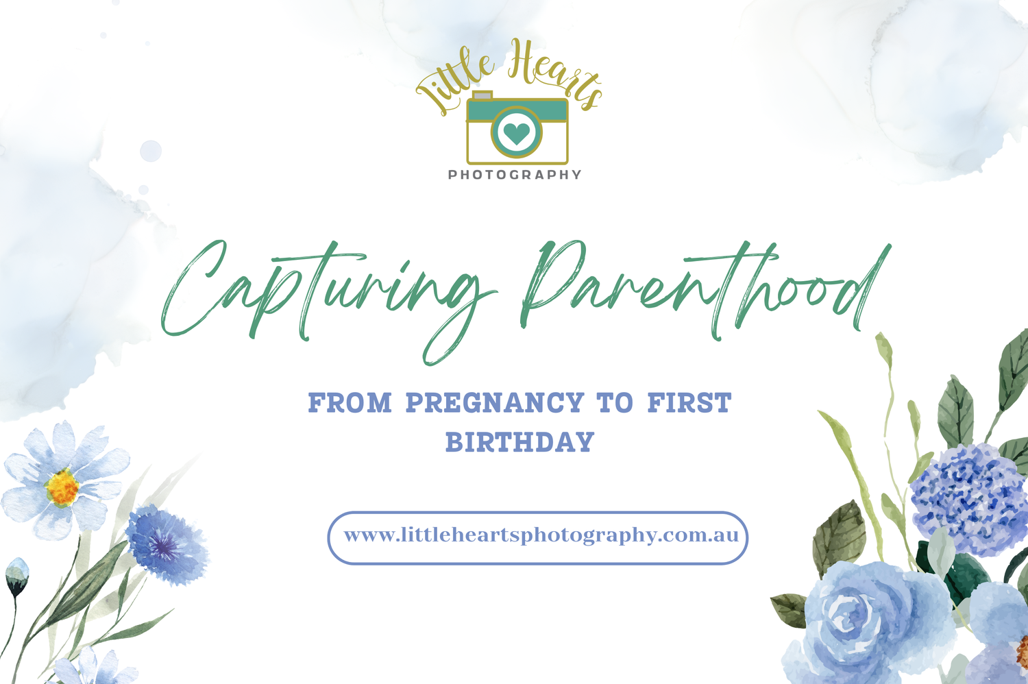 Floral business banner design with blue hydrangeas and daisies for maternity and newborn photography services.