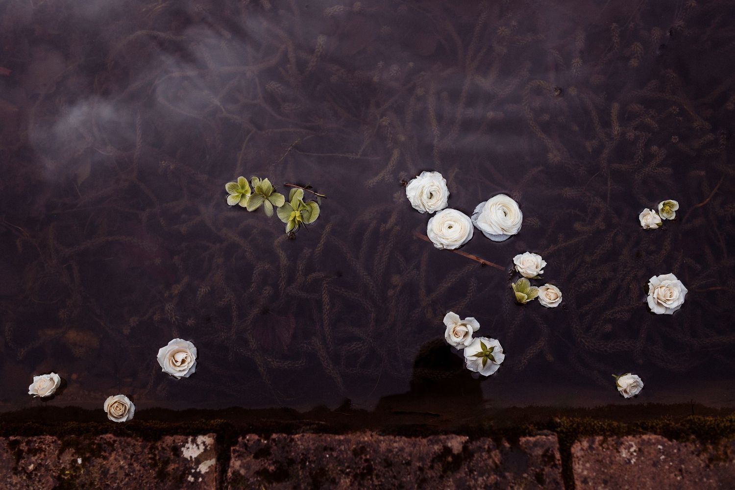 A bride in a strapless white wedding dress smiles beneath an elegant floral arch with pink and white flowers.