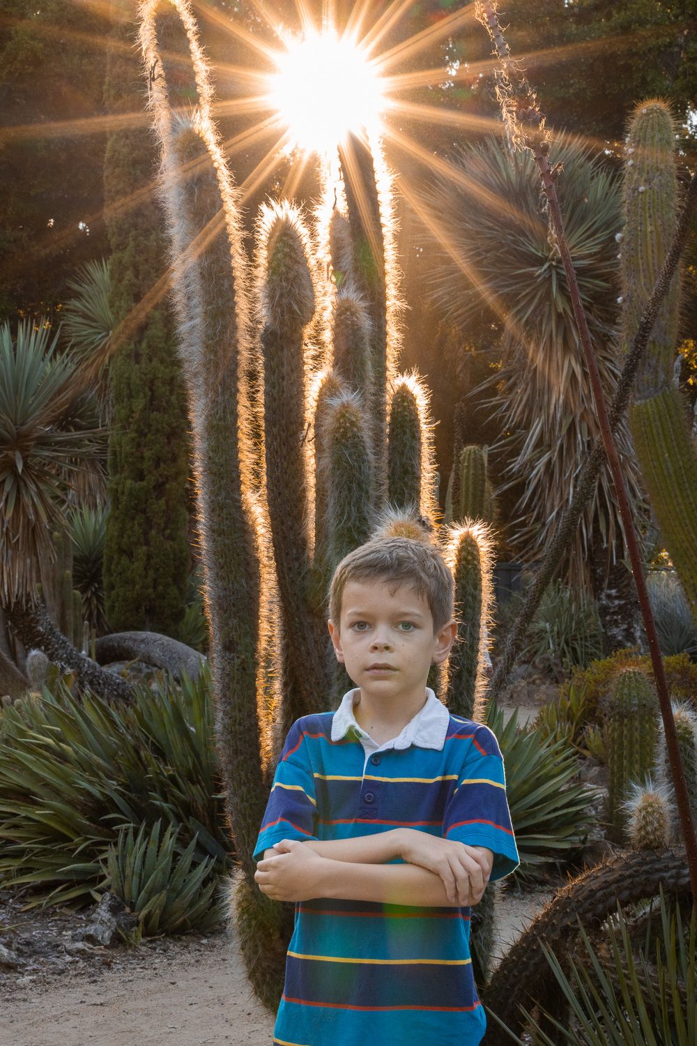 San Jose family photo session with child in front of cactus with San Jose Family and Newborn Photographer Cindy Tucey