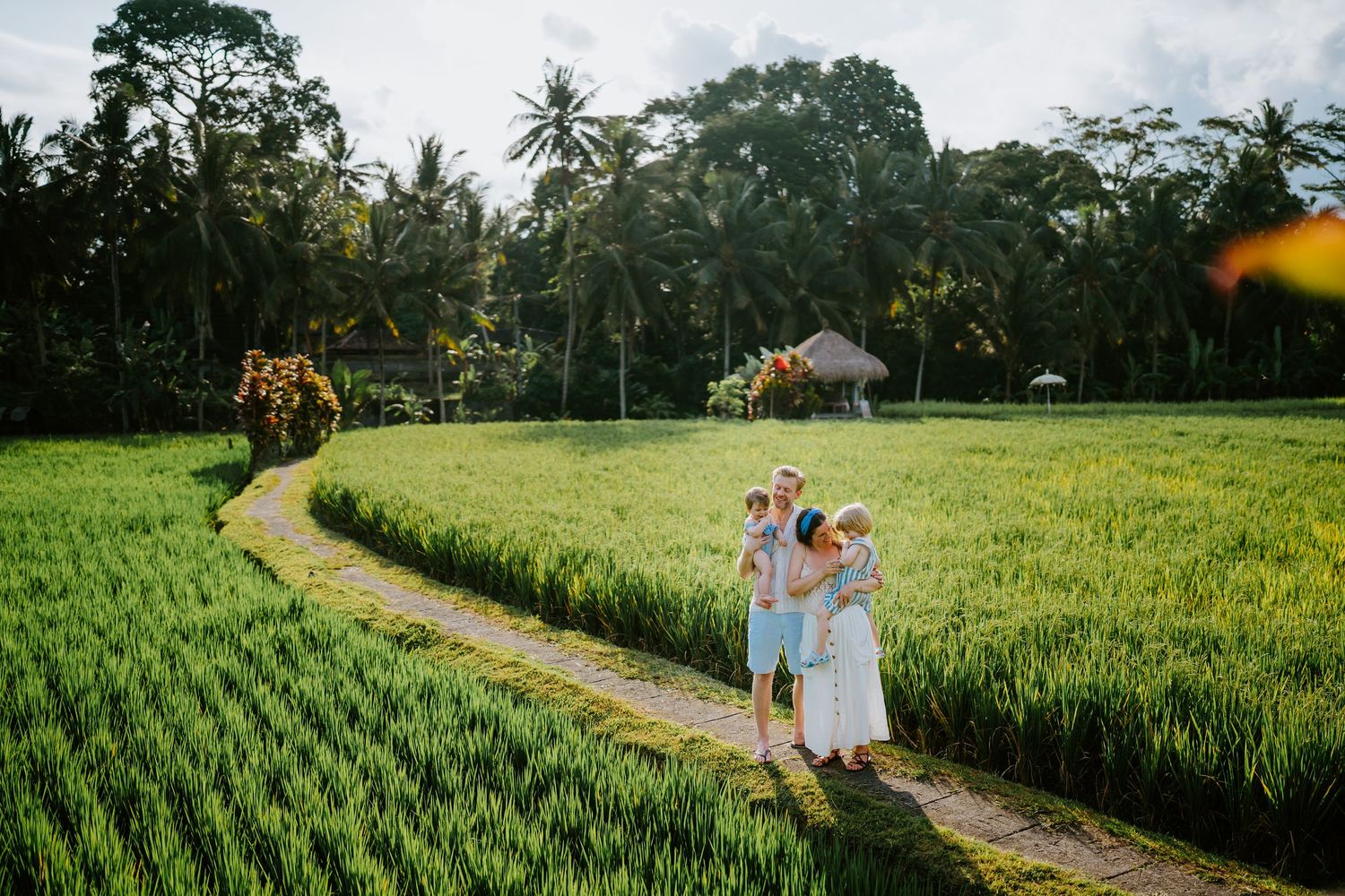 Joyful family photography session in scenic rice field setting during golden hour.