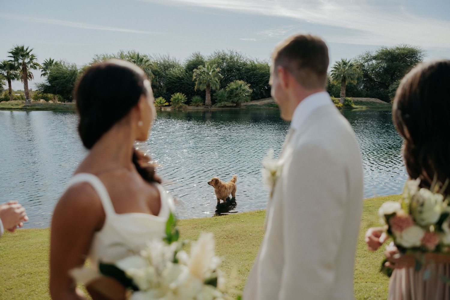 Couple and wedding party share joyful laughter during outdoor lakeside celebration.