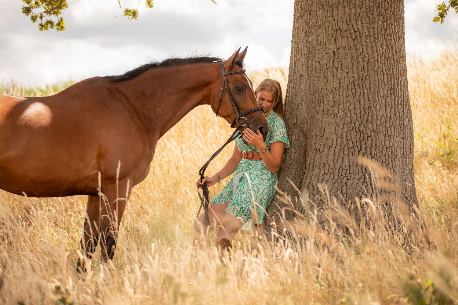 A person leads a palomino horse along a sunlit forest trail surrounded by tall evergreen trees.