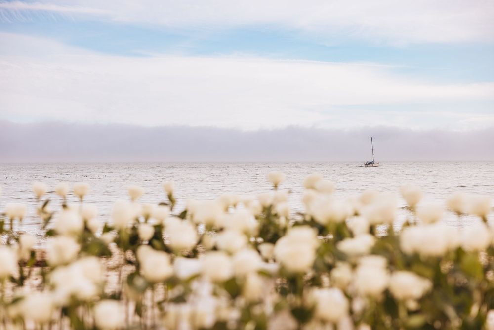 White wildflowers bloom in the foreground with a sailboat on a calm ocean under a misty sky.