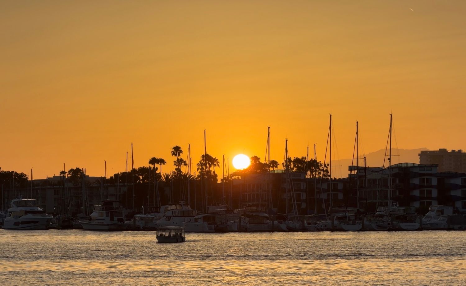 Golden sunset over a marina with sailboats and palm trees silhouetted against an orange sky.