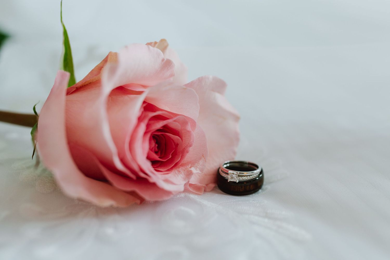 Pink rose beside two wedding rings on white fur, symbolizing love and marriage.