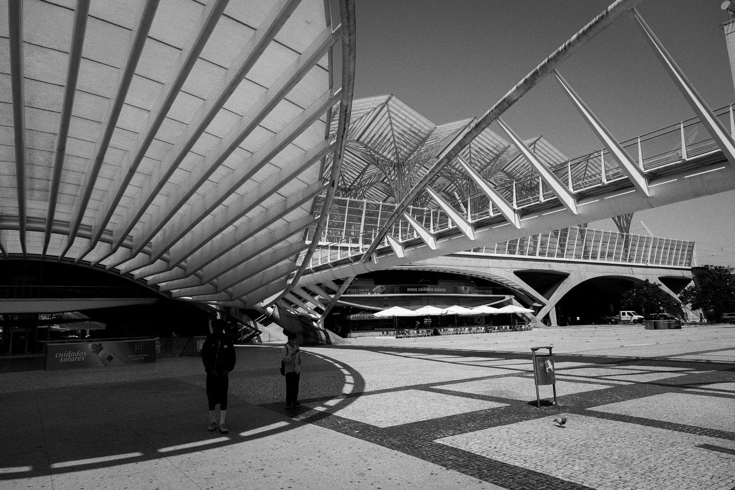 Black and white photo of modern architectural train station Lisbon Orient Station, with sweeping canopy roof and geometric steel structure.