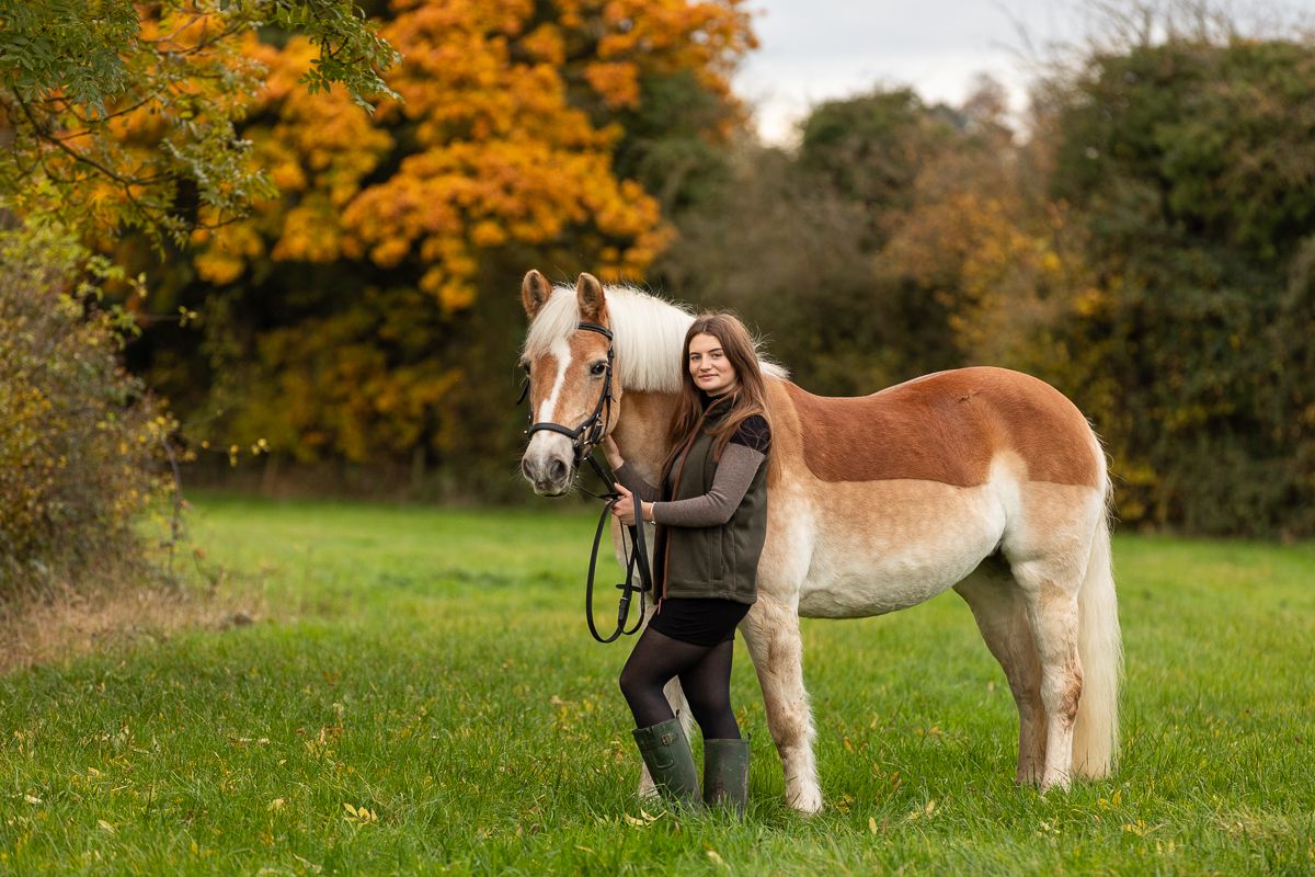 A paint horse grazes in a lush green meadow surrounded by vibrant fall foliage.