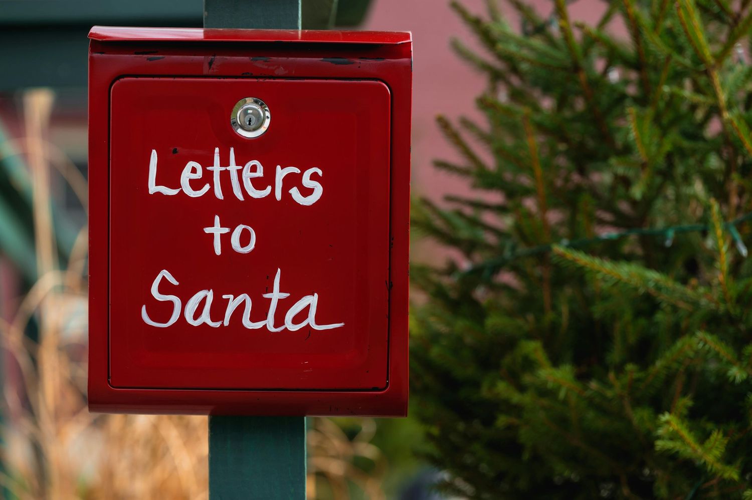 Red mailbox with 'Letters to Santa' text mounted on green post near evergreen branches.