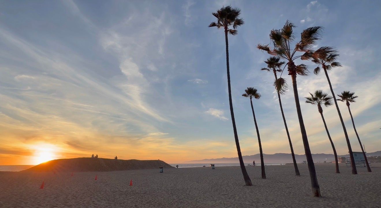 Palm trees silhouetted against a vibrant orange and purple sunset sky over a coastal landscape.