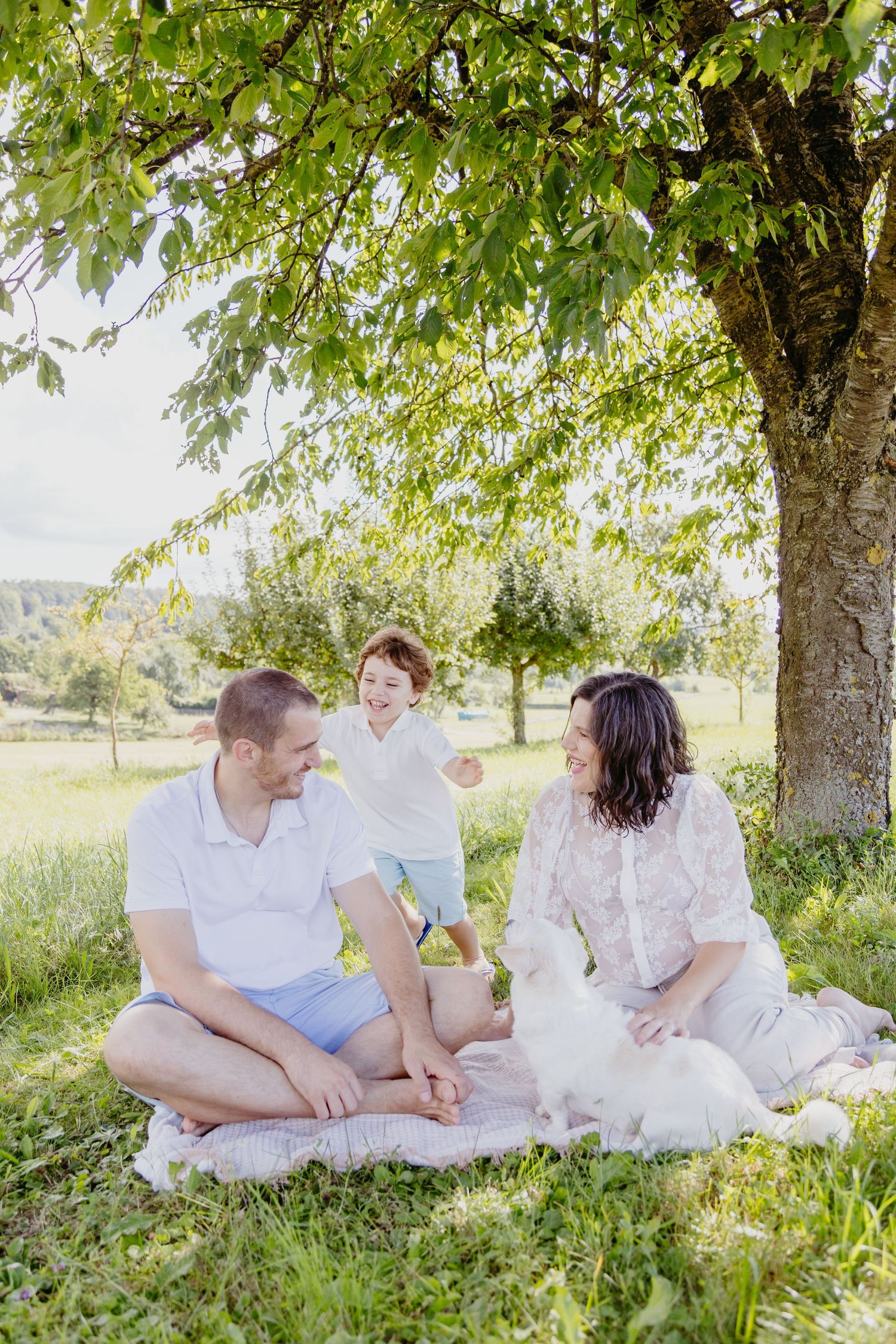 A family sits together on a blanket under green trees on a sunny summer day, creating a peaceful outdoor scene.