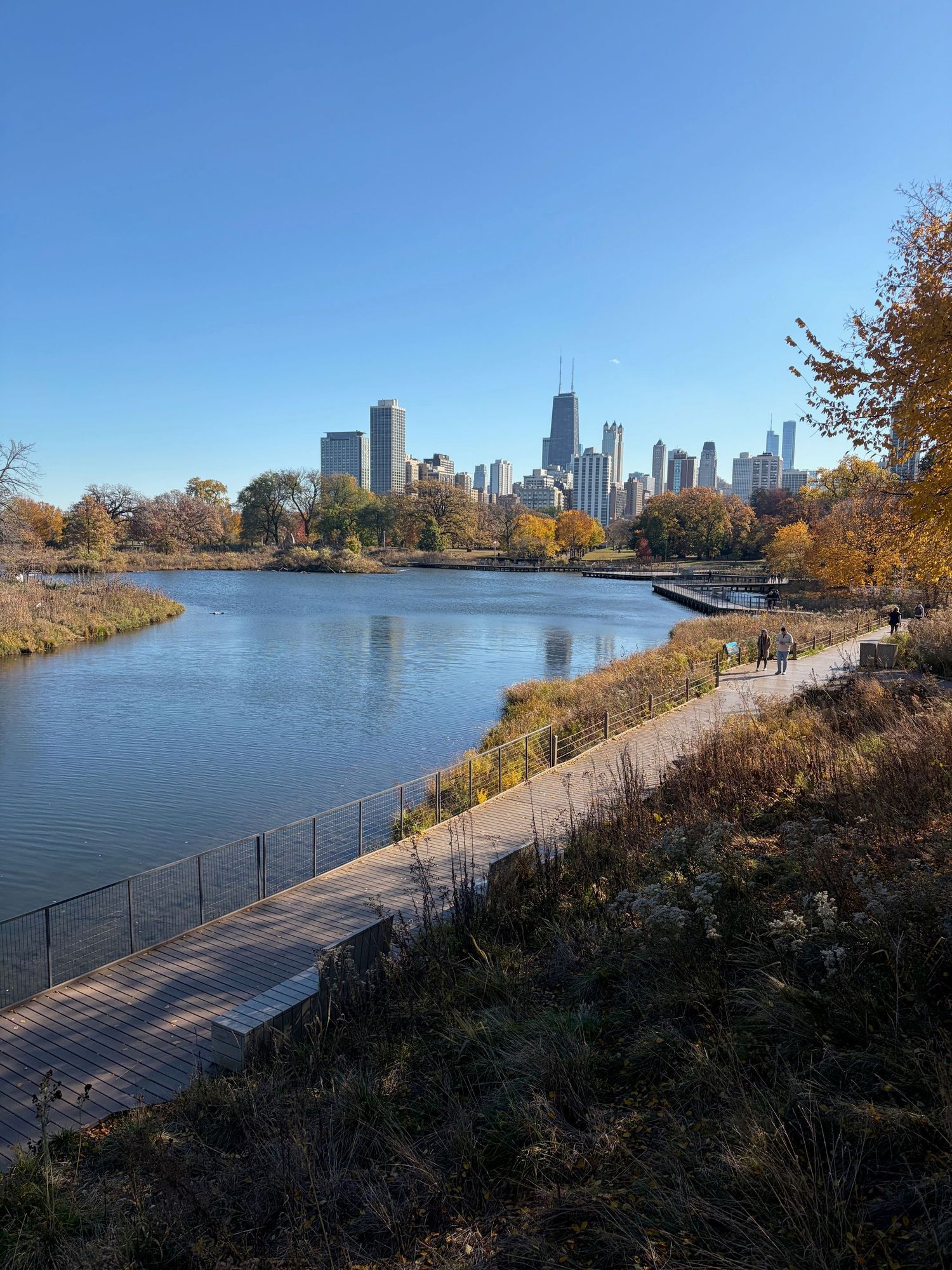 Panoramic view of Chicago skyline from Lincoln Park Zoo with autumn trees and lakefront path along Lake Michigan|  Sydney Allen Photography