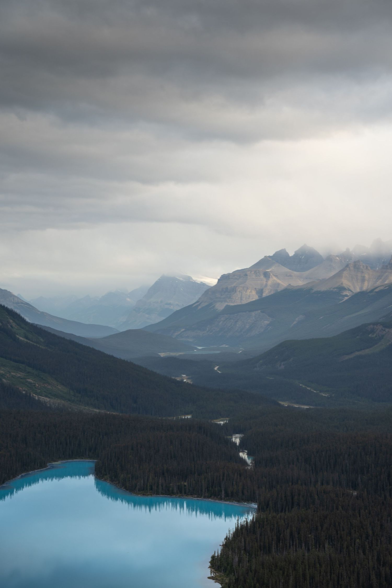 Peyto Lake, Banff National Park, Alberta, Canada.