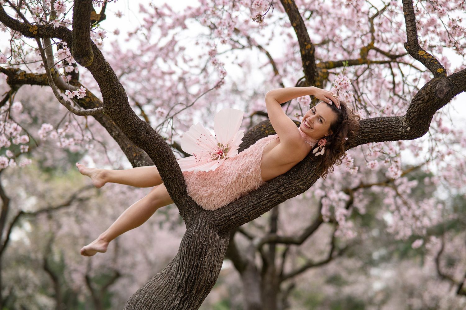 Someone in a pink dress reclines dreamily in a cherry blossom tree during spring bloom.