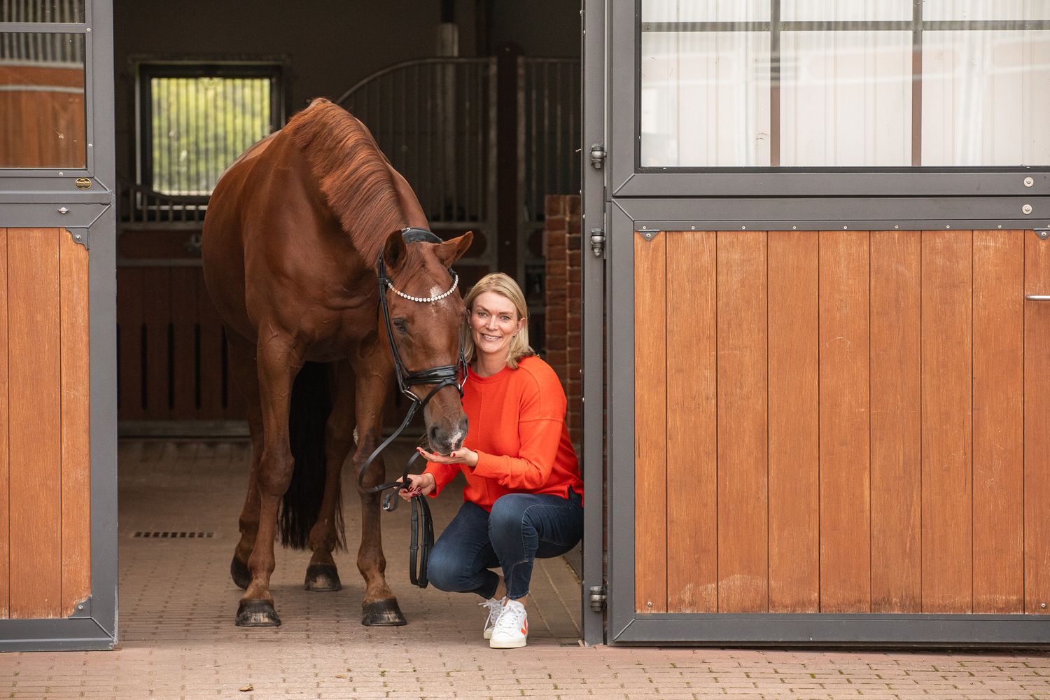 A bay horse and companion sitting in a wooden stable with orange shirt and white sneakers.