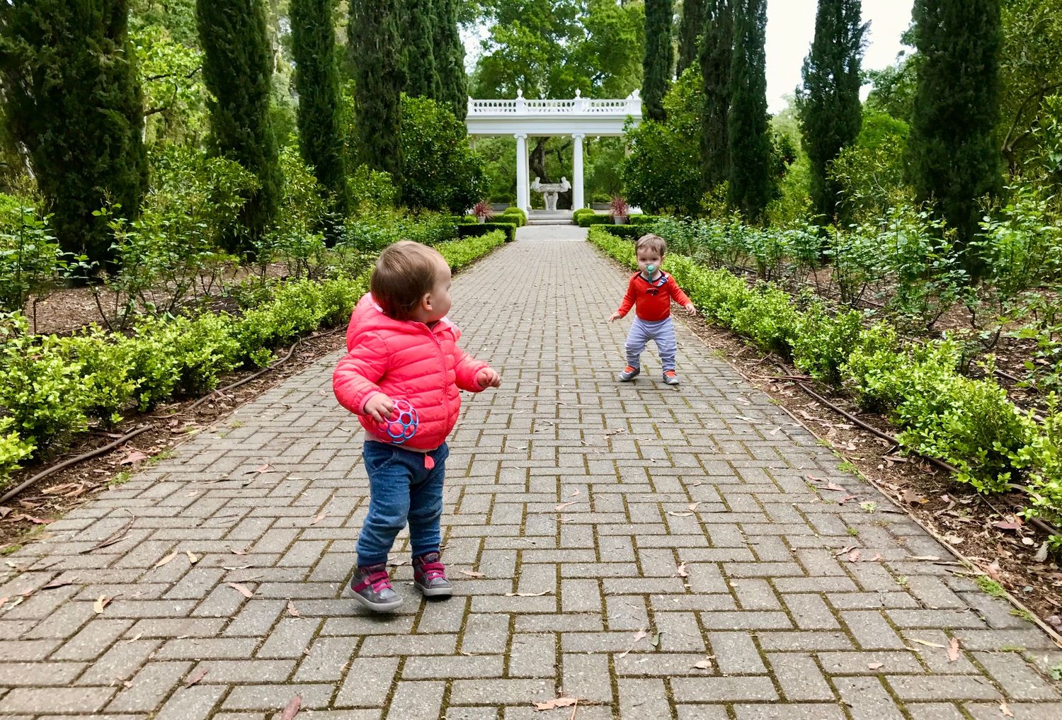 Kids hiking the gardens at Villa Montalvo in Saratoga, which young children enjoy exploring, by Cindy Tucey Photography