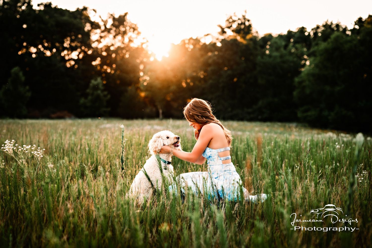 Senior Pictures in Wildflower field, Near West Bend, Kewaskum, Germantown, Wisconsin