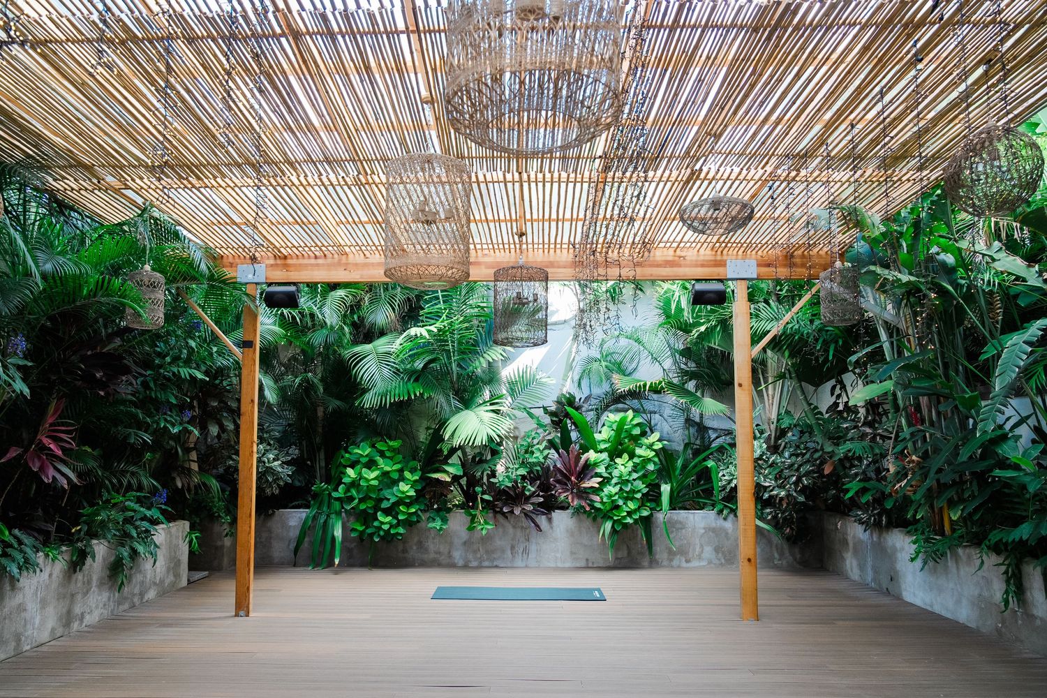 Modern glass greenhouse interior with bamboo lattice ceiling and tropical plants against stone walls.