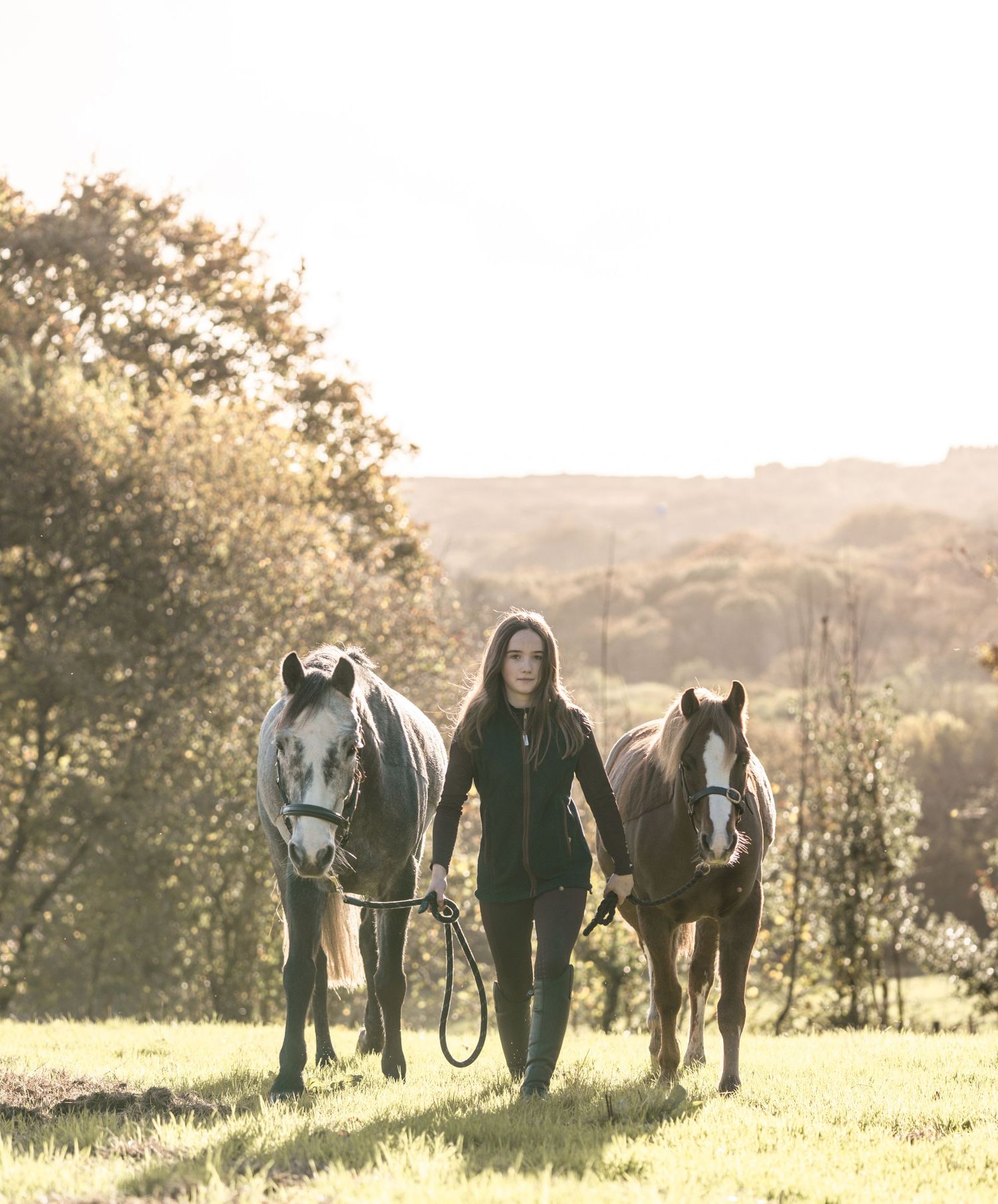 Person walking with two horses on a sunlit hillside path during golden hour in a peaceful countryside setting.