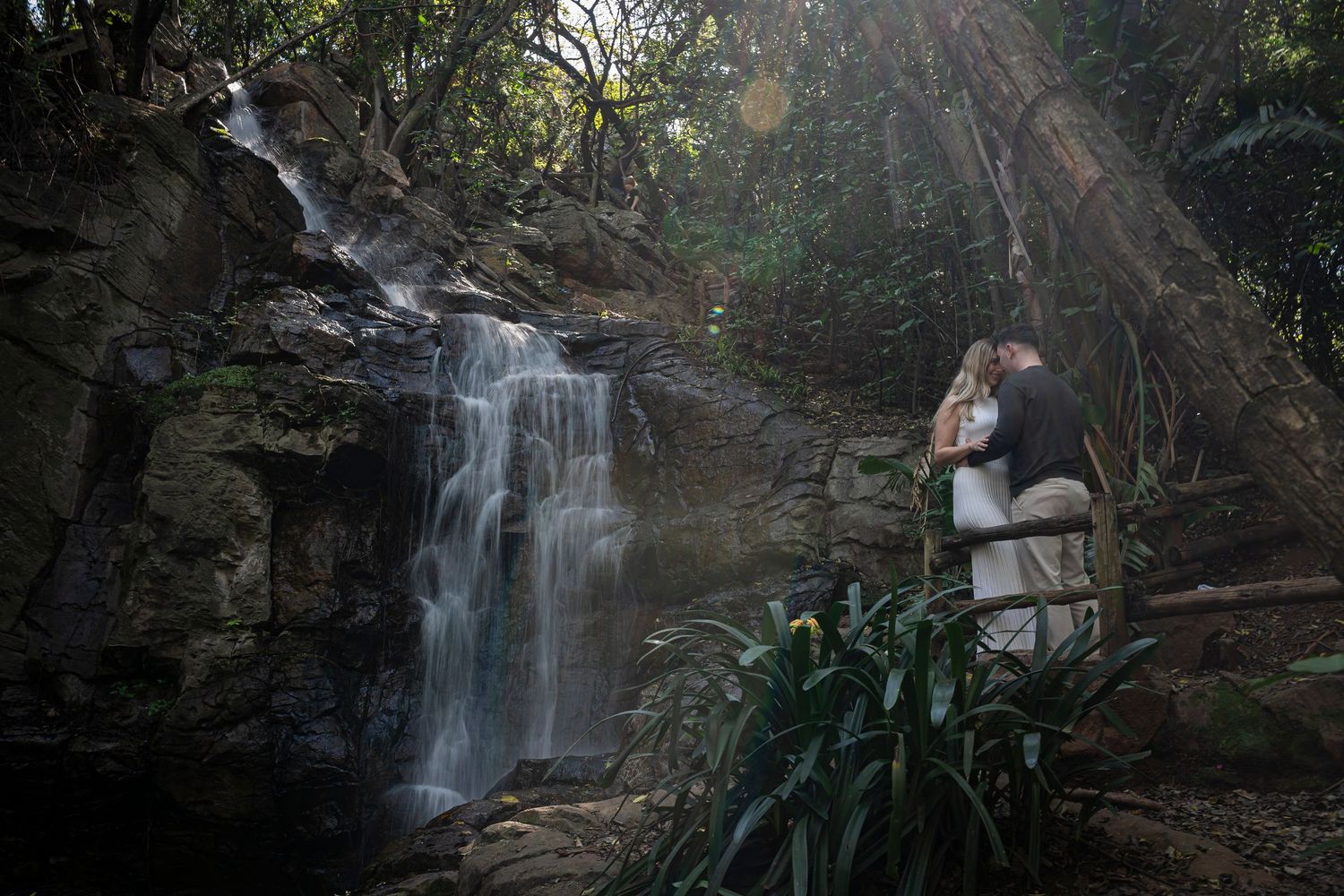 A series of photos showing a cascading waterfall surrounded by lush greenery in a forest setting during autumn.
