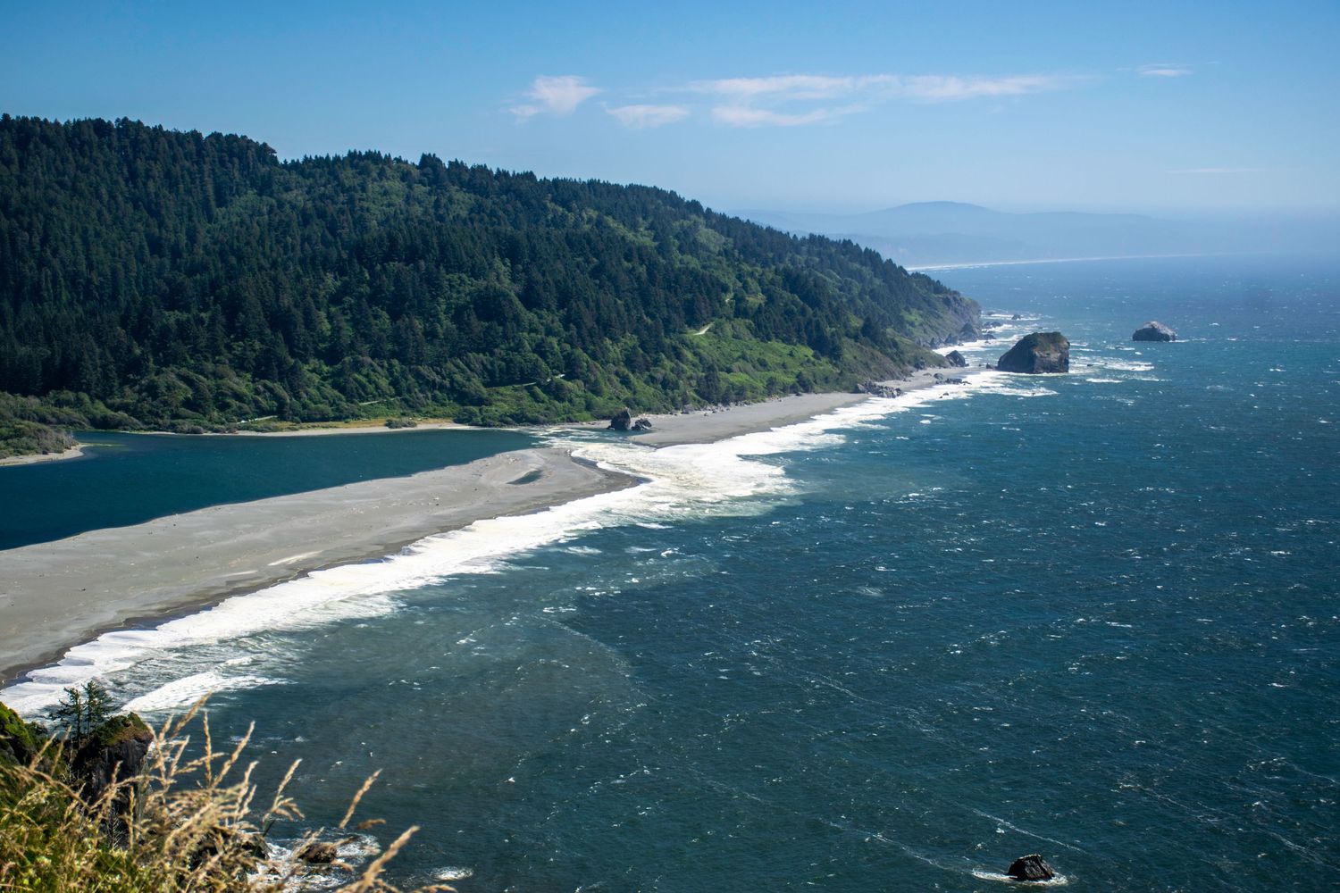Dramatic coastal view of a beach and forest-covered cliffs along the Pacific Northwest shoreline.