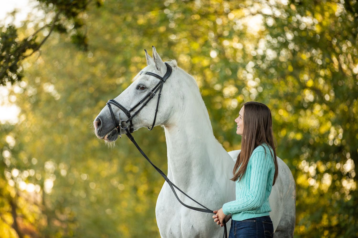 A majestic white horse with bridle stands in a sunlit forest setting.