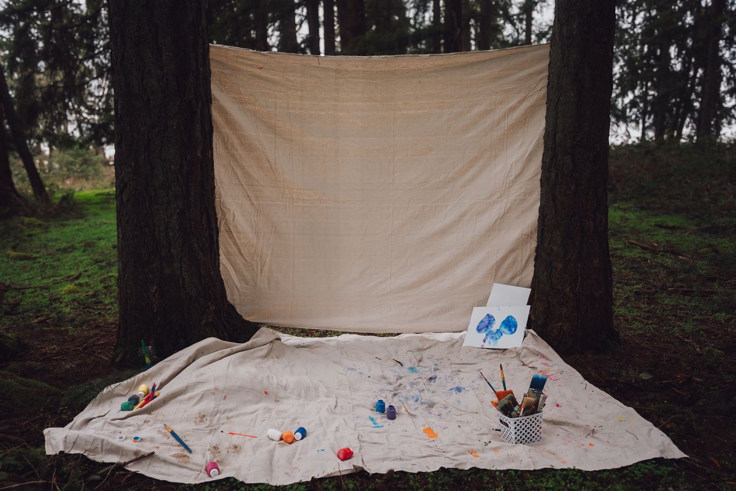 A painters canvas backdrop