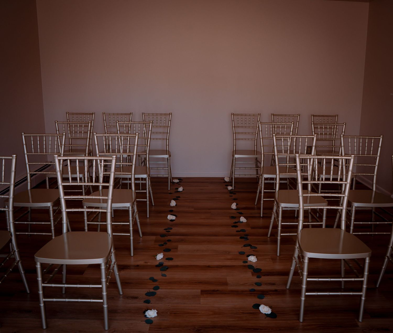 Maryland Micro Wedding