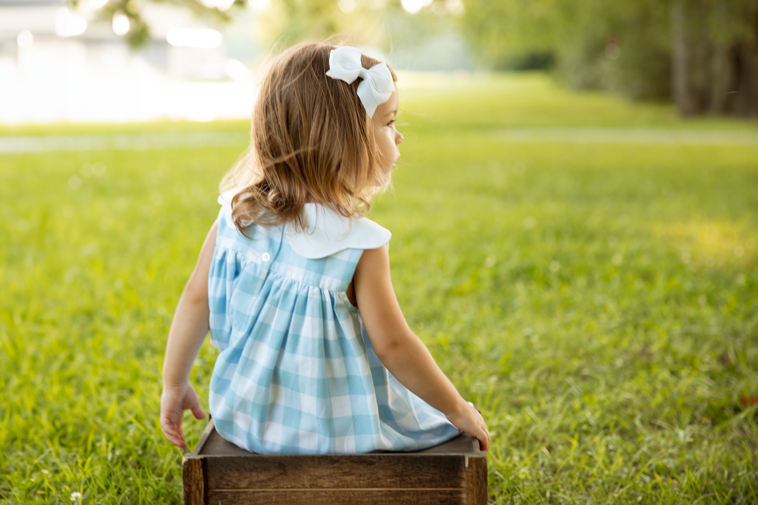 Young girl in blue gingham dress with white bow sits in wooden crate on lush green grass.