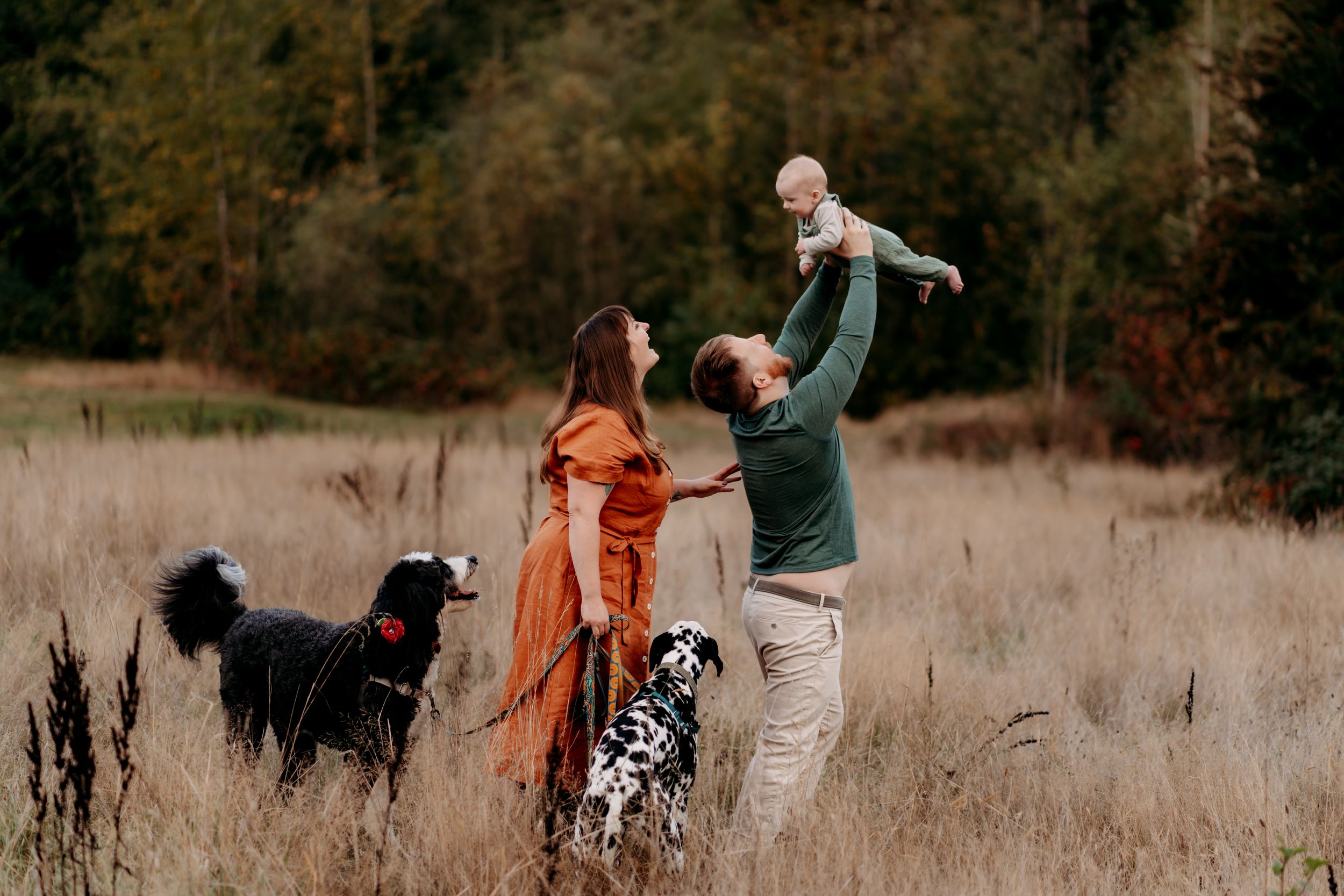 Family with two dogs playing in a field, lifting baby in the air, surrounded by autumn trees during fall family photos in Puyallup.