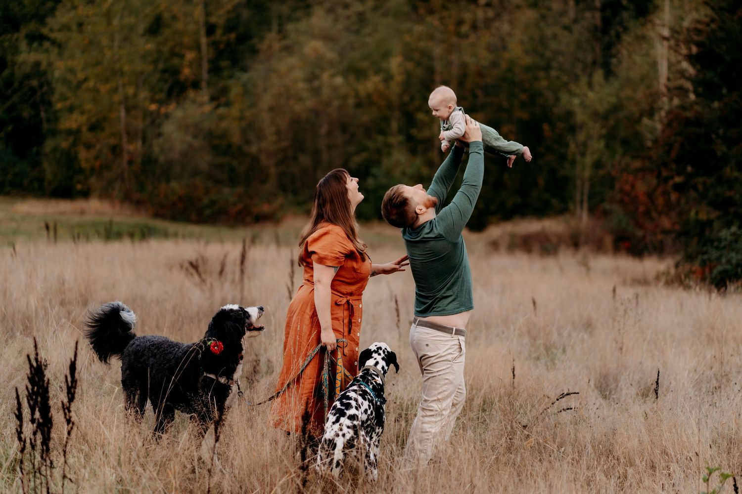 Family with two dogs playing in a field, lifting baby in the air, surrounded by autumn trees during fall family photos in Puyallup.