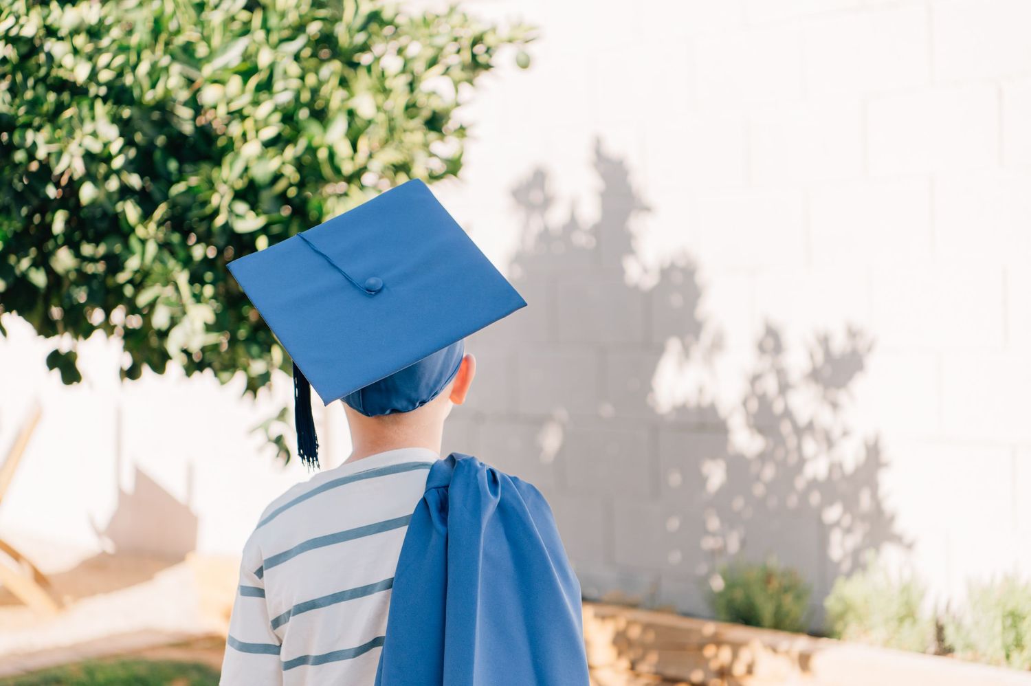 Young child wearing a blue graduation cap and gown stands outdoors, viewed from behind, near green trees.