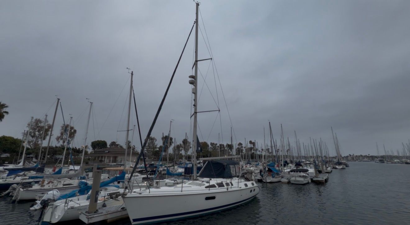 Sailboats docked in a marina on an overcast day with trees and buildings visible in the background.