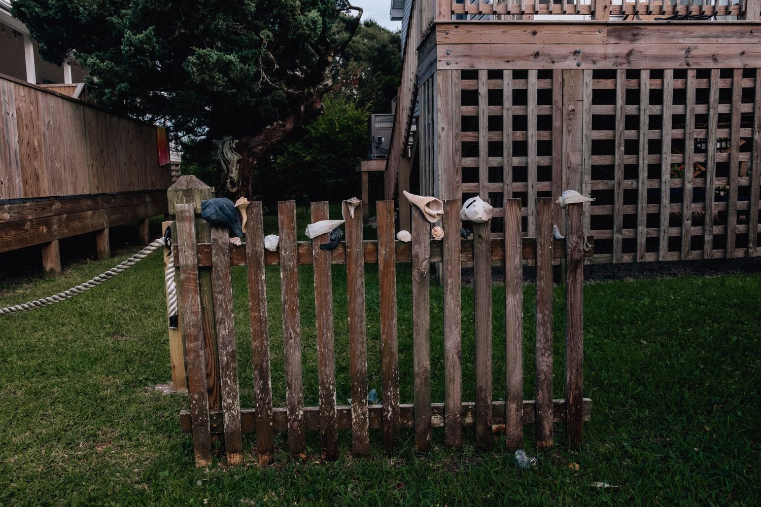 Rustic wooden picket fence with decorative items on posts in a green backyard with lattice structure in coastal virginia