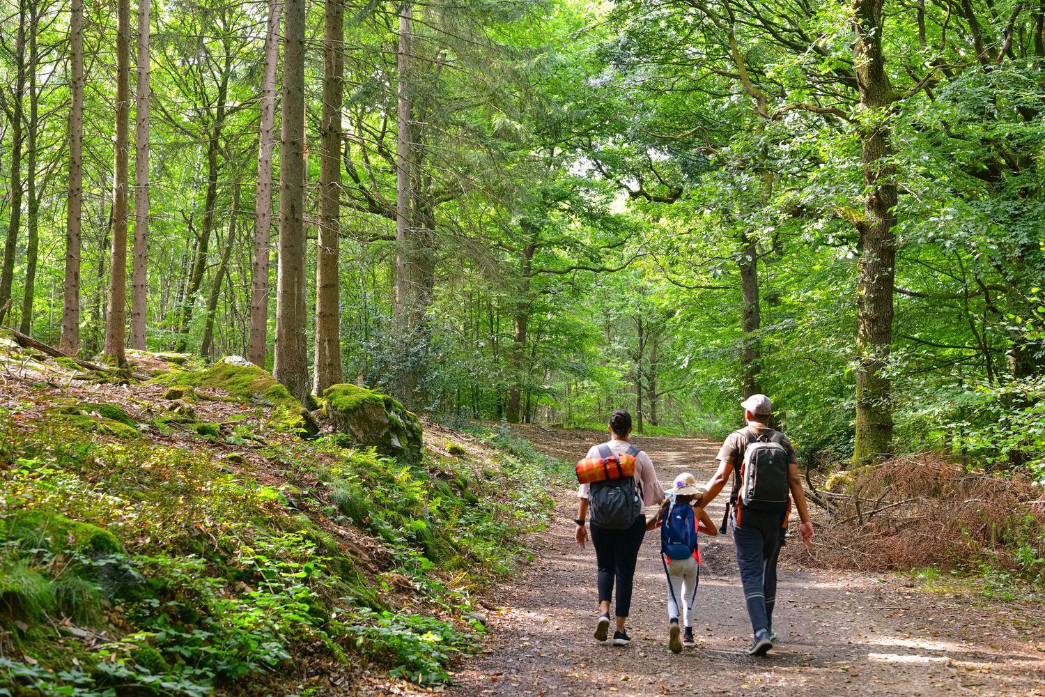 Three people walking together on a scenic forest trail surrounded by lush green trees and moss-covered ground.
