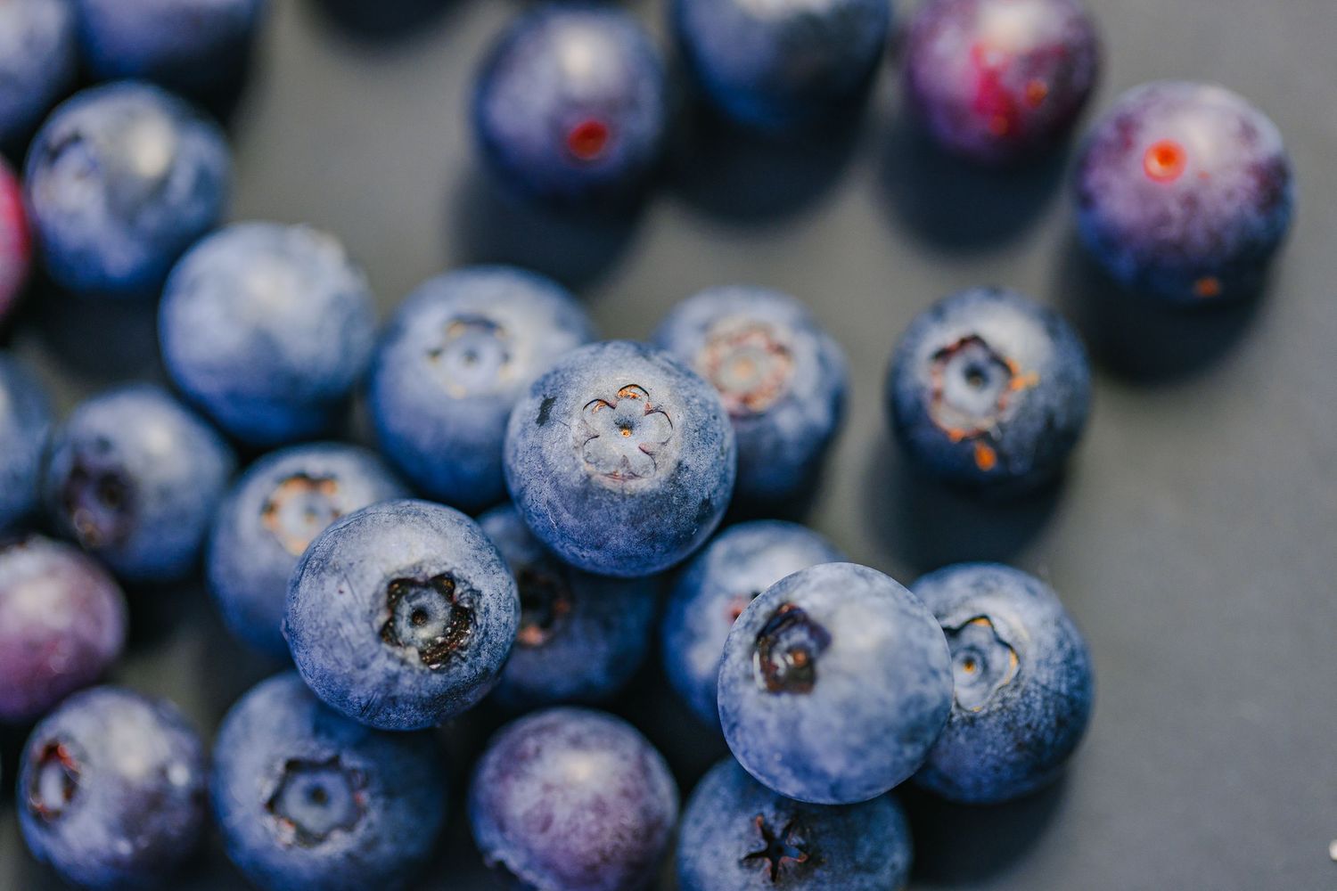 Panama City local farm: fresh blueberries up close texture