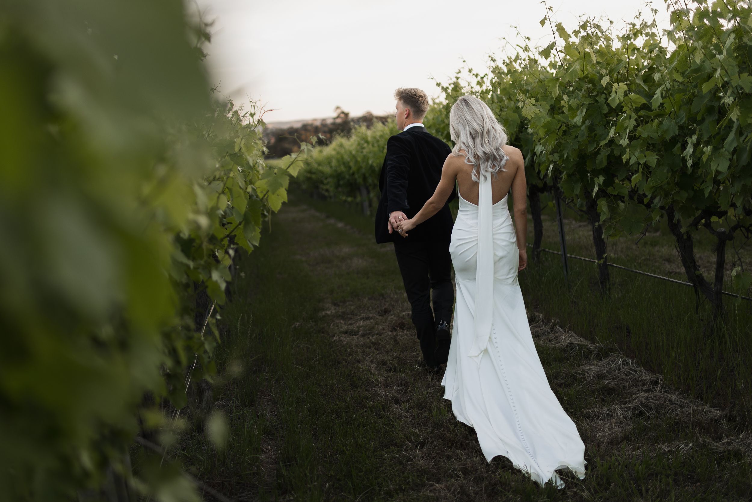 Newlywed couple walking together through scenic vineyard rows at sunset in formal wedding attire.