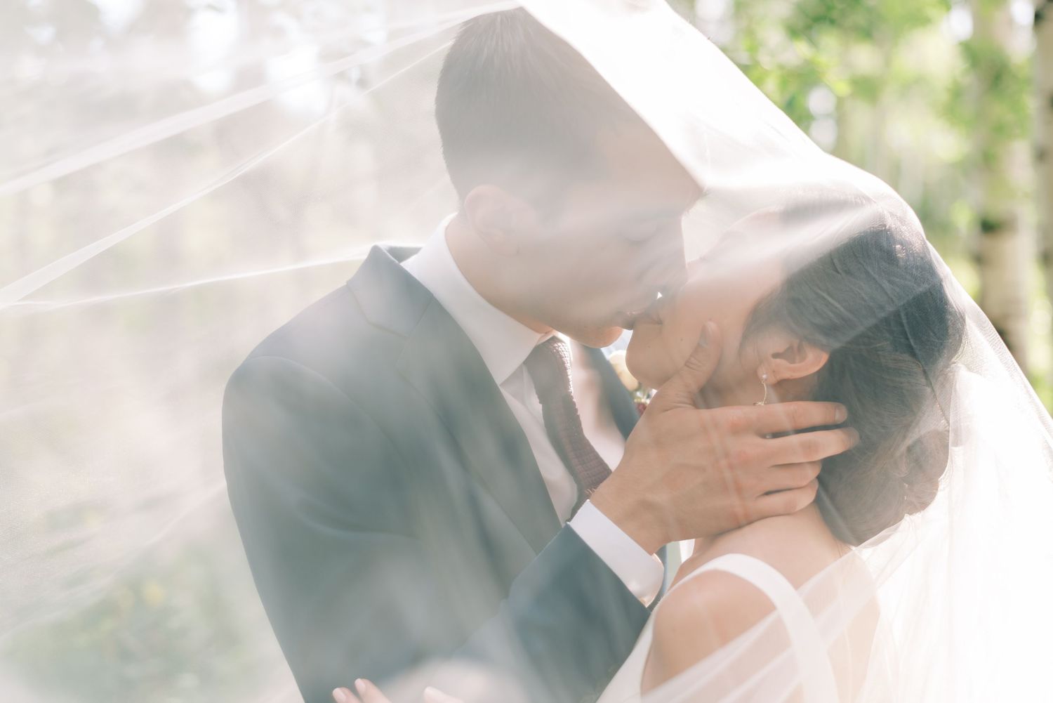A wedding couple kissing under a bridal veil