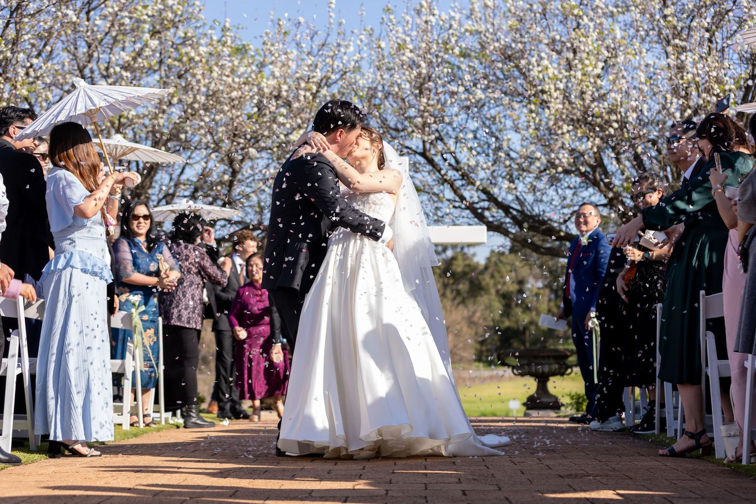 Bride and groom share first kiss outdoors at spring wedding ceremony with guests cheering and white blossoms in background.