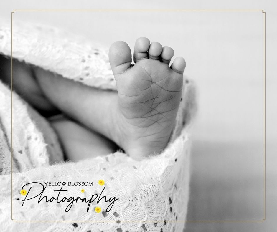 A black and white photography series showing hands gently holding ultrasound prints and baby shoes in artistic poses.