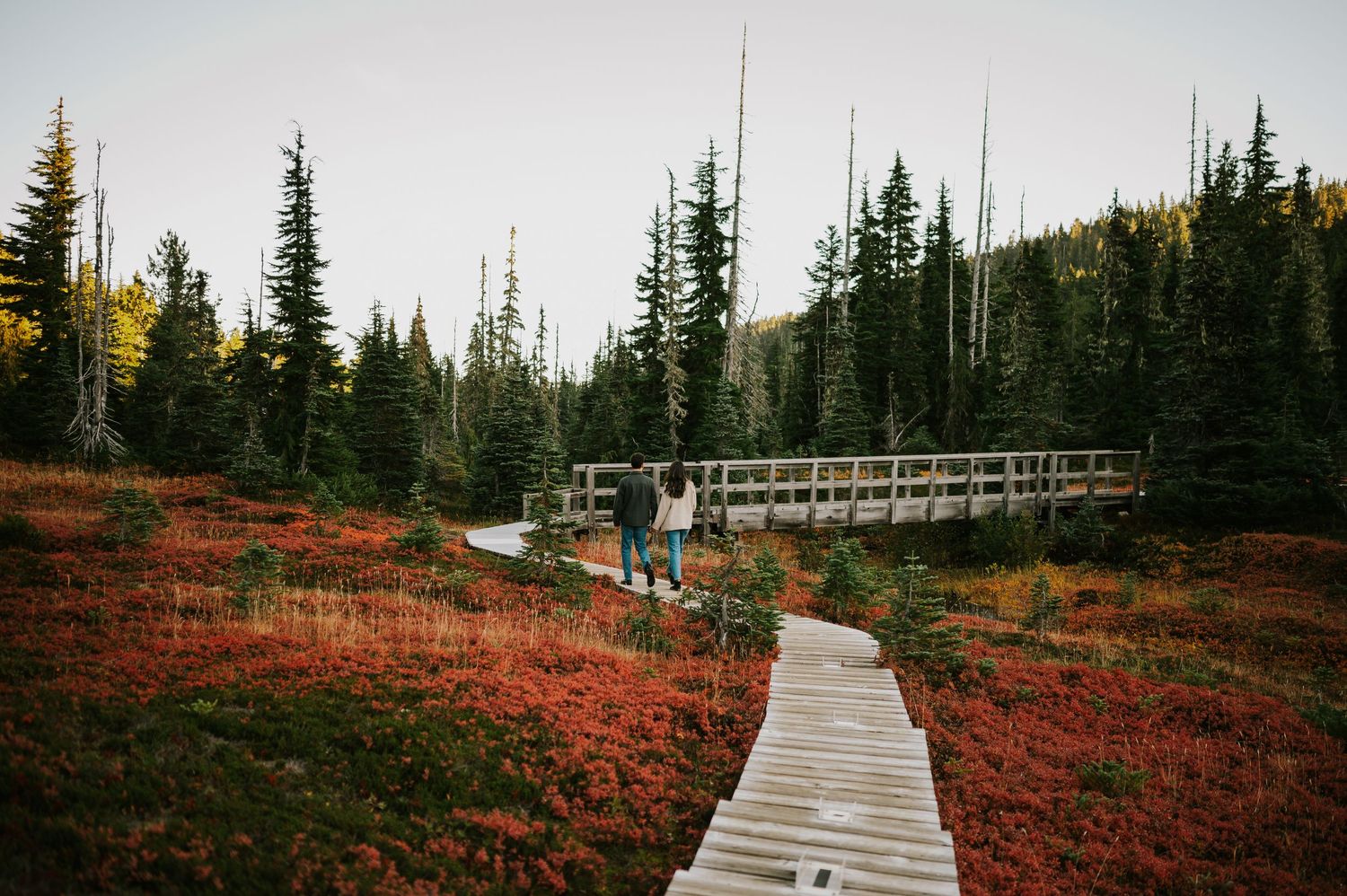 Engagement photographer of couple on Mt. Washington walking in paradise meadows board walk for couple photoshoot Vancouver Island