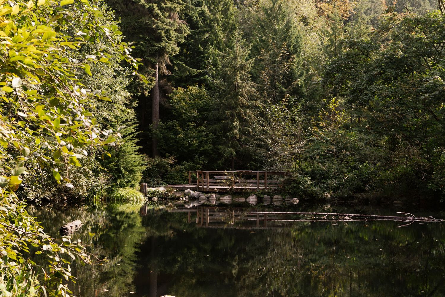 Scenic wooden footbridge spans across a tranquil pond surrounded by lush green trees and autumn foliage.