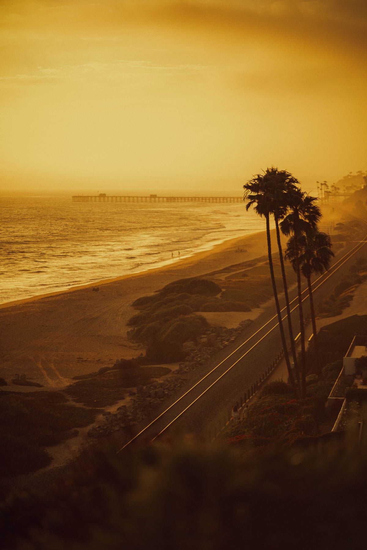 Palm trees silhouetted against a dramatic golden sunset over the ocean with glowing clouds and reflective waters.