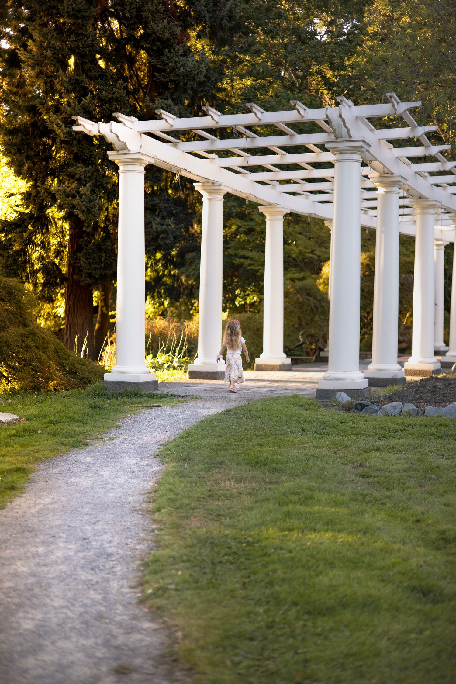 A white wooden pergola with classic columns stands along a winding gravel path in a serene garden setting at sunset. Tacoma WA