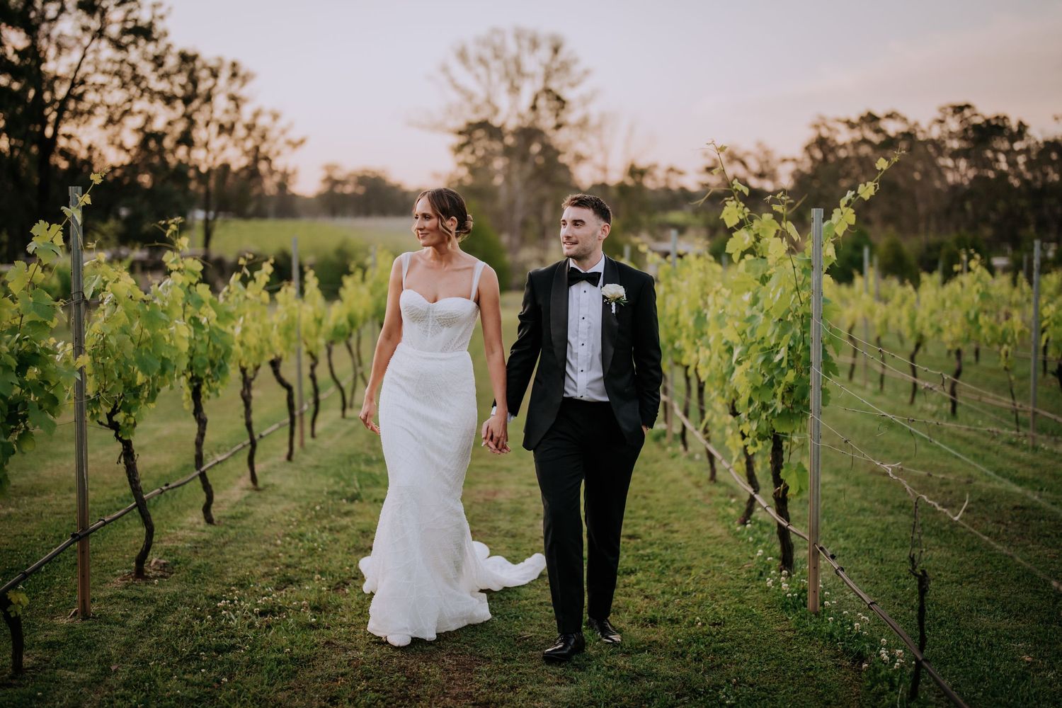 Couple walking through lush vineyard rows during sunset photo session.