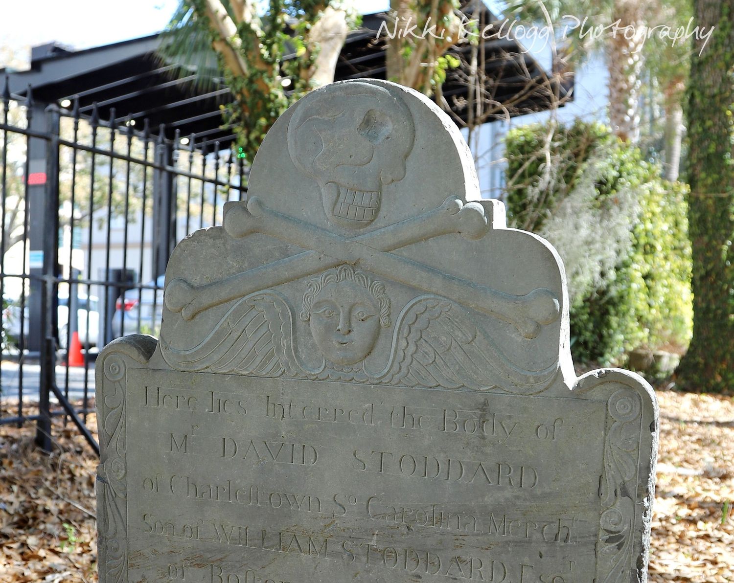 Skull and crossbones