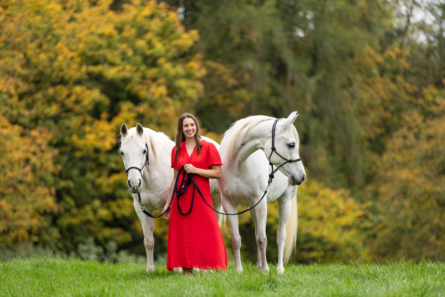 A person leads a palomino horse along a sunlit forest trail surrounded by tall evergreen trees.