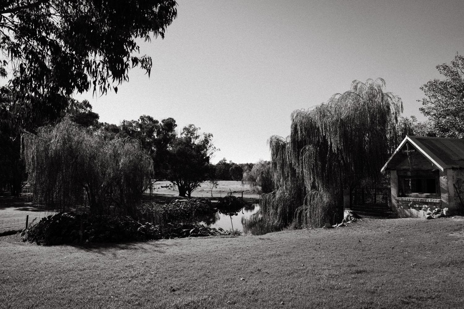 Modern building with expansive lawn sits beside a tranquil pond surrounded by trees on an overcast day at Chapel Farm in Western Australia.