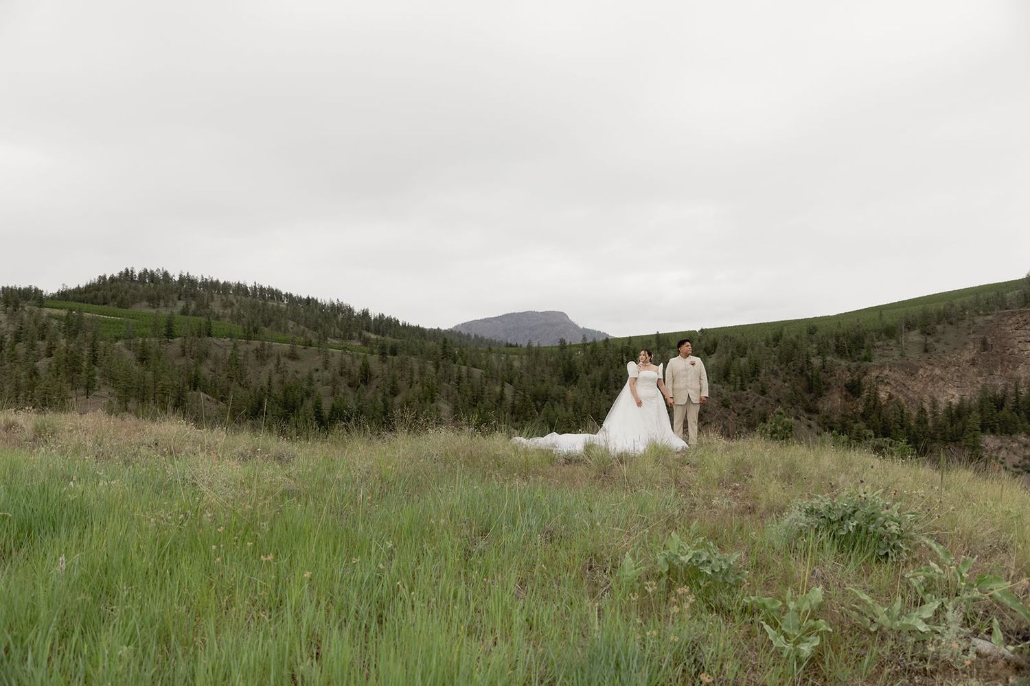Bride and groom hold hands in a lush green mountain meadow under an overcast sky on their wedding day.