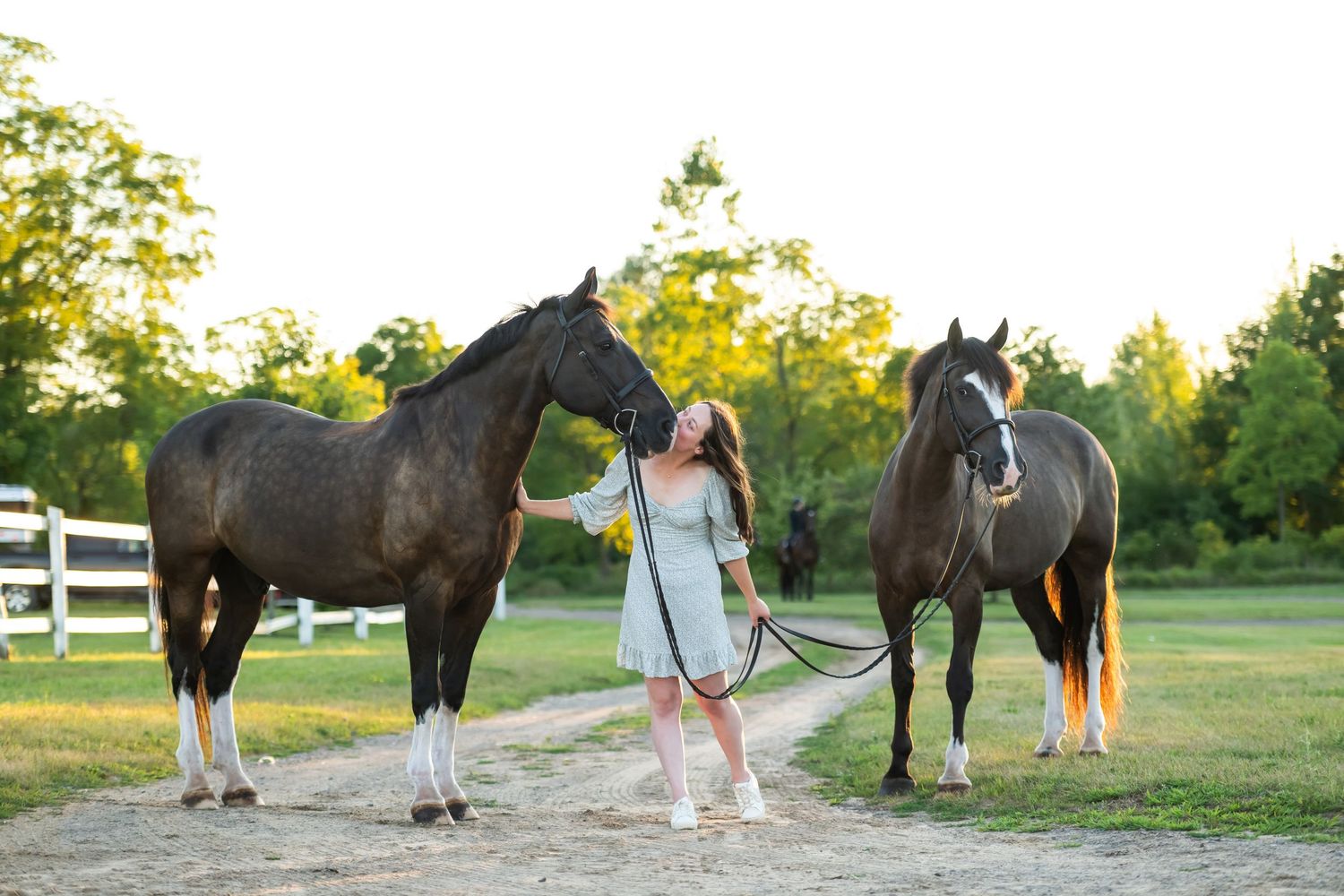 Seven photos showing horses and people standing together in a grassy field during golden hour lighting.