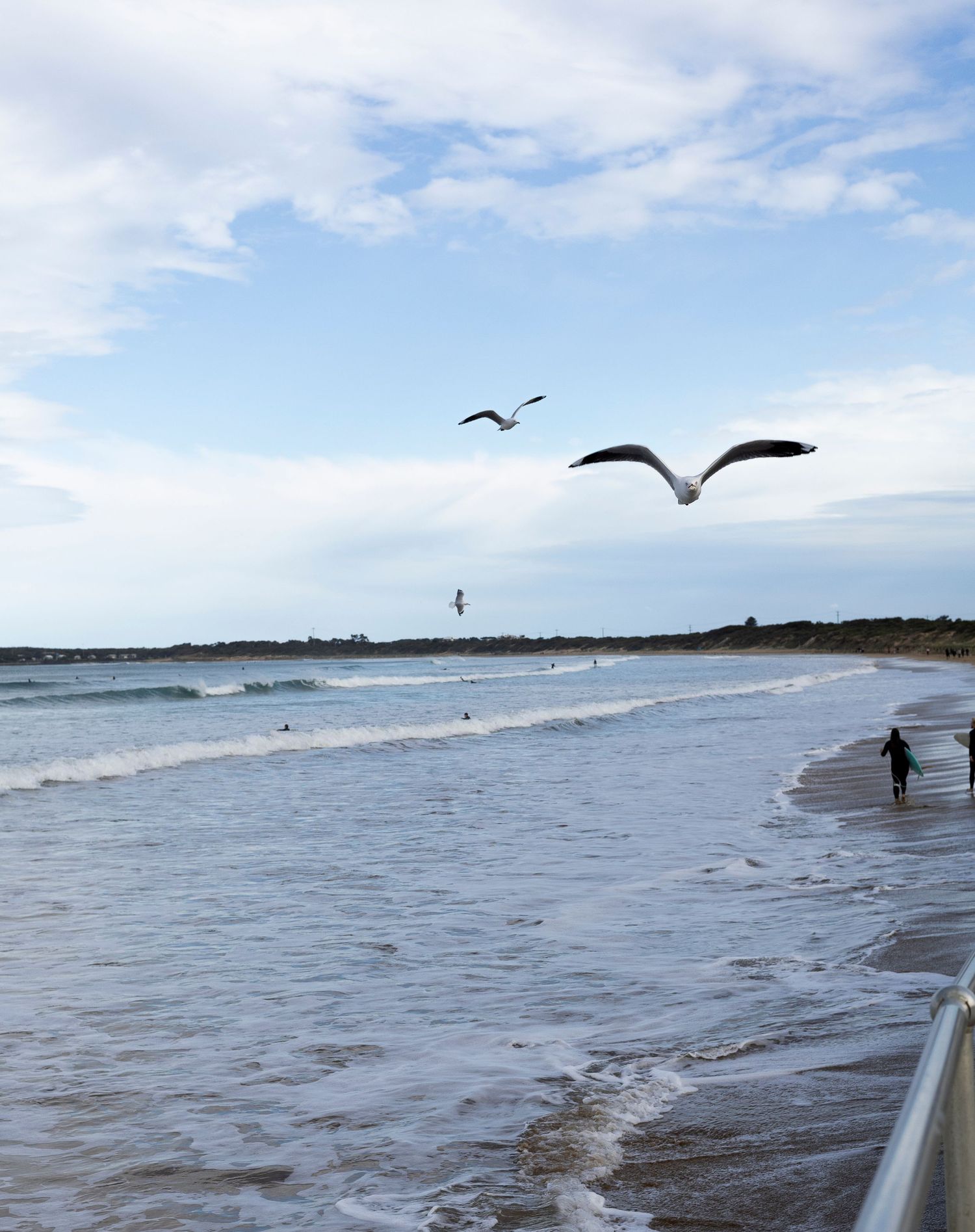Seagulls soar over a windswept beach with waves rolling onto the shore and a distant figure walking along the water's edge.